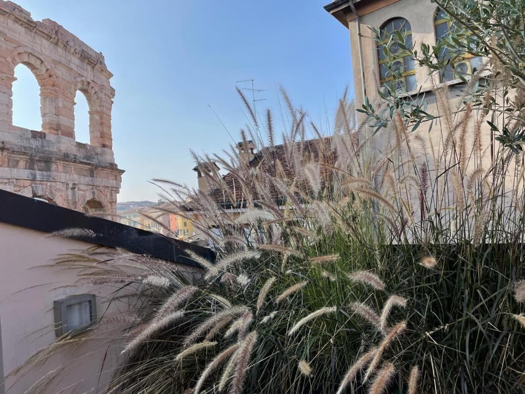 La Terrazza Sull'Arena Lejlighed Verona Eksteriør billede