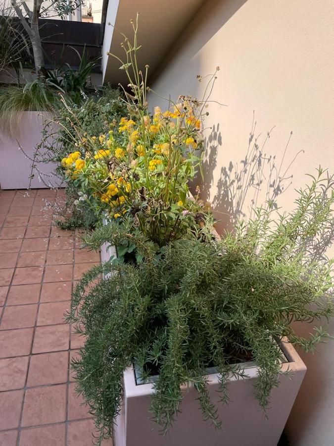 La Terrazza Sull'Arena Lejlighed Verona Eksteriør billede